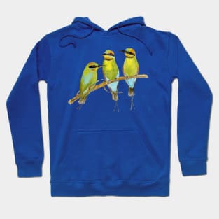 Rainbow Bee Eater Bird Hoodie